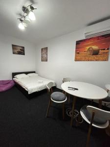 Circumvalațiunii Studio