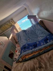 Alex Ajmal Makan Panorama Sea View Miami for family o