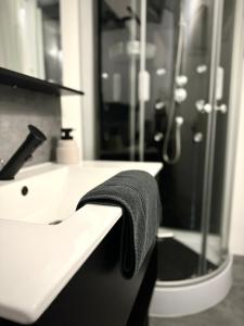 Appartements Le Petit Rive Gauche - Blois : photos des chambres