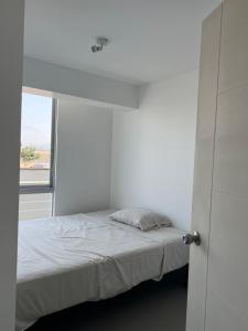 Ocean view, terrace and pool