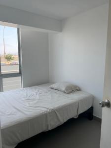 Ocean view, terrace and pool