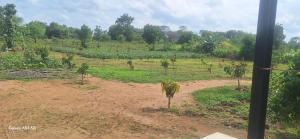 Wild Escape Thanamawila