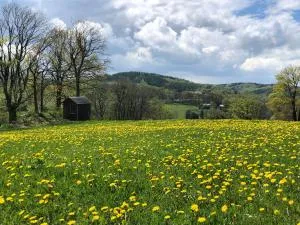 Verlegerhaus Seiffen - Mannsche
