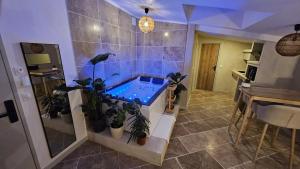 Appartements La Suite Tilleul : photos des chambres