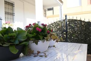 P050 - Porto Recanati, elegante trilocale in centro storico