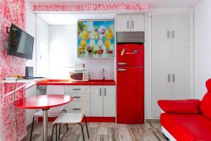 estudio en Salomar 2000