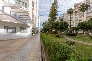 estudio en Salomar 2000