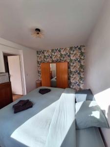 Appartements Le Cocon des Bluetwins : photos des chambres