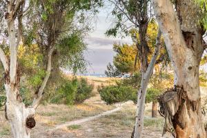 Holiday fronte mare & spiagge