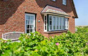 Hüs Waasluuper - Lachmöwe