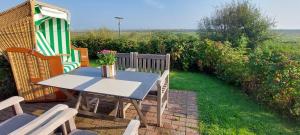 Hüs Waasluuper - Lachmöwe