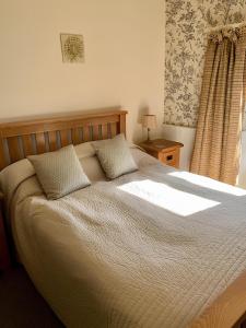 The Old Medical Hall