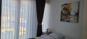 Apartman Niki Borovi