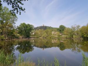 La Vite in Collina Apartment