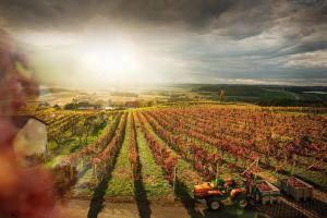 Sonnenterrasse Klöcklschuster