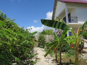 Yoga&Gym Zanzibar Guesthouse