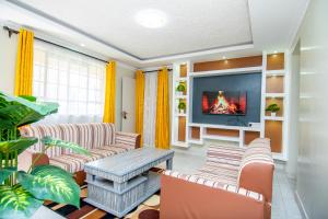 Blink comfort suite- Rhino