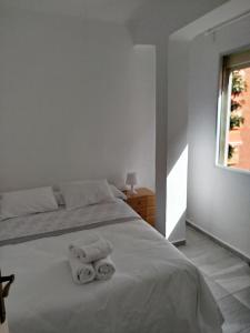 apartamento coris center