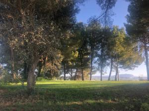 Casa rural Cal Dalfo