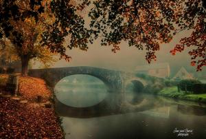 Maisons de vacances Gite Cote d-Emeraude : Maison 1 Chambre