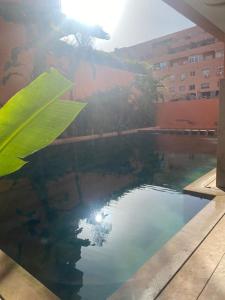 Beautiful apartment in Gueliz