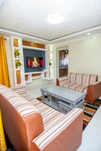 Blink comfort suite- Lion