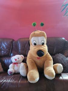 Apartamenty i pokoje gościnne Nowita