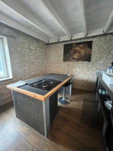 Maisons de vacances Les gites de Lou, entre Blois et Chambord : photos des chambres
