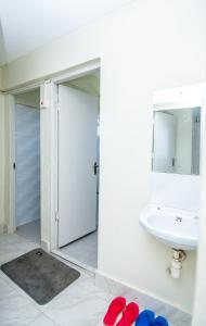 Blink comfort suite- Tiger