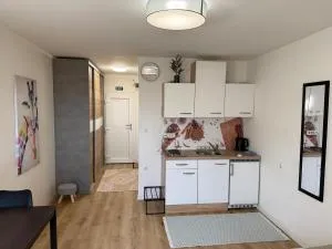Cozy & Renovated Apartment in a Practical Location - Šent Vid ni Ljubljano