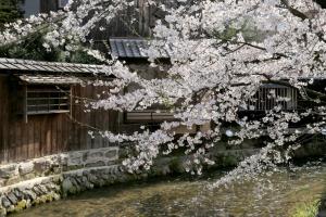 Apartment Hotel MODISH Gion