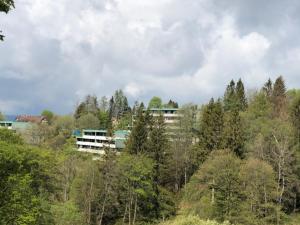 Apartment Harzblick, neu modernisiert