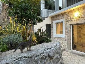 Strp House