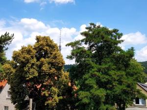 Ferienwohnung Elbhangblick