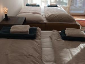 Sunflower Apartment Moravske Toplice