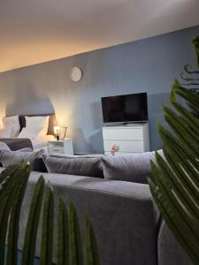 HANNIBAL - Studio-Apartment Gladiole 1, Parkplatz, Küche, HighSpeed WLAN