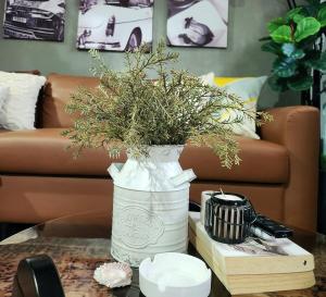 Semi-industrial cozy home