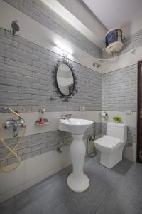 The Chetus Nest Near Mall road kasauli