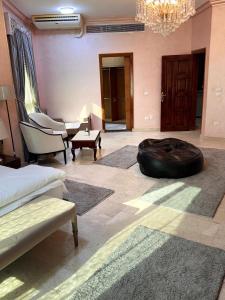 فيلا فرش فندقي في الشيخ زايد رقم الهاتف صفر صفر اتنين صفر واحد واحد صفر اتنين أربعه ثلاثه صفر 222