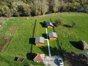 Brvnare Vapa - Družiniće