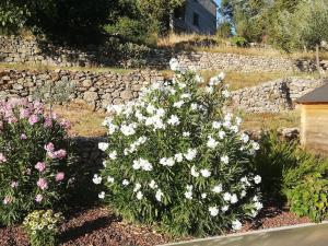 Maisons de vacances La Grangette : photos des chambres