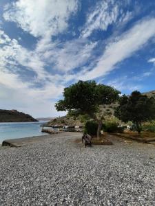 RELAXED PLACE by the sea