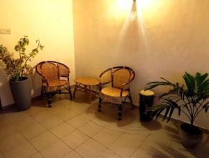 The Green Light House