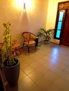 The Green Light House