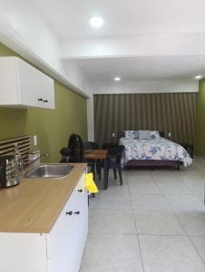 El Árbol Plaza Suites - Terra