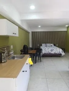 El Árbol Plaza Suites - Terra - Тепостлан