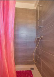 Maisons de vacances Logement calme et agreable a proximite d'Ajaccio : photos des chambres