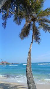 Turtle Beach House