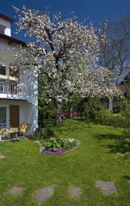 Ferienwohnung Pfänder