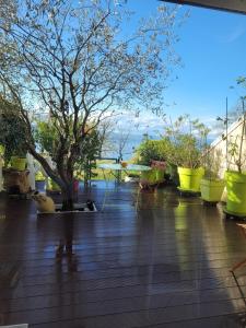 Appartements Appartement les pieds dans le Lac Leman : photos des chambres